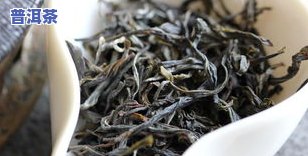 枣香普洱茶价格：一斤装、散茶价及详细报价