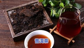 你们哪个想喝普洱茶的-你们哪个想喝普洱茶的人