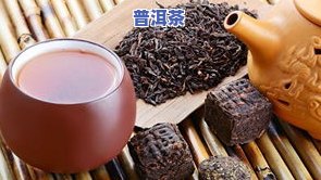 你们哪个想喝普洱茶的-你们哪个想喝普洱茶的人