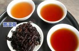 最新！勐海七子饼茶7536、7576、7266价格全解析