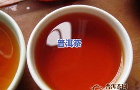 永镇普洱茶：价格与评价全解析