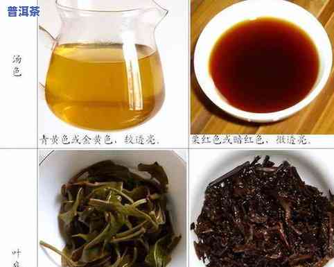 大益茶普洱茶测评结果查询-大益茶普洱茶测评结果查询最新