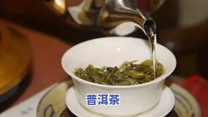 葫芦信普洱茶，品味古韵：葫芦信普洱茶的特别魅力