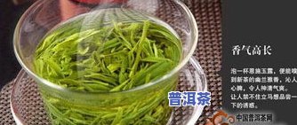 普洱茶紫芽和紫鹃哪个好-普洱茶紫芽和紫鹃哪个好喝