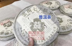 临沧冰岛村的茶树王：探寻云南千年老茶树的故事