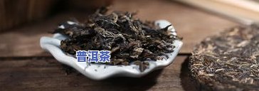 临沧冰岛村的茶树王：探寻云南千年老茶树的故事