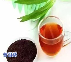 普洱茶种植历史记录怎么写，探秘普洱茶种植历史：一份详实的记录