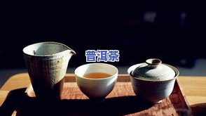 普洱茶种植历史记录怎么写，探秘普洱茶种植历史：一份详实的记录