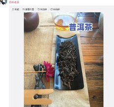 普洱茶批发价格网：最新市场行情与价格表查询