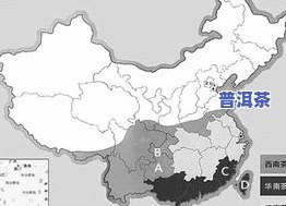 普洱茶批发价格网：最新市场行情与价格表查询