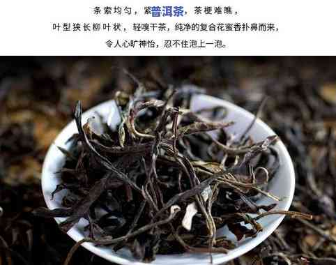 勐海县班章老树茶厂老班章，【勐海县班章老树茶厂】2023年老班章春茶预售，头春古树纯料，生态茶园，手工制作，顺丰包邮