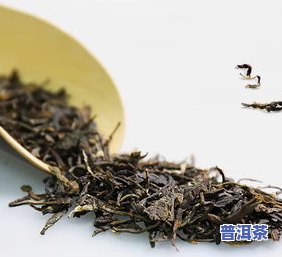 雪菊和普洱茶可同用吗？熟悉其功效及百科信息