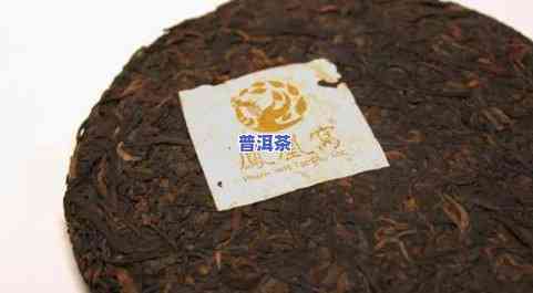 什么茶叶最适合蒸茶，寻找更佳蒸茶选择：哪种茶叶最适合蒸煮？