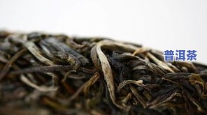 6091普洱茶，品味云南：探索6091普洱茶的独特魅力