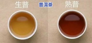 猿抱子茶在普洱排名-猿抱子普洱茶市场价