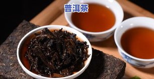 老同志普洱茶旗舰店行情-老同志普洱茶旗舰店报价