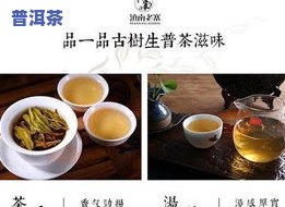 女人经常喝普洱茶叶对身体好吗，普洱茶：女性常饮的好处与留意事项