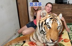 女人经常喝普洱茶叶对身体好吗，普洱茶：女性常饮的好处与留意事项