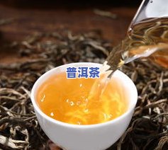 降火的茶叶有什么茶-降火的茶叶有什么茶名