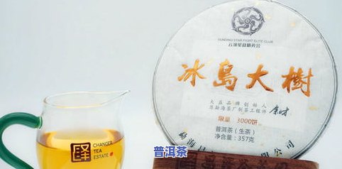 普洱茶企，探索普洱茶企的崛起之路：从传统到现代的转变