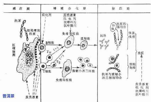 益木堂普洱茶仓加盟电话：获取详细联系方法与地址