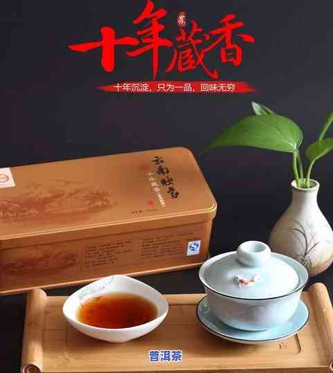 中福的普洱茶怎么样好不好-中福的普洱茶怎么样好不好喝