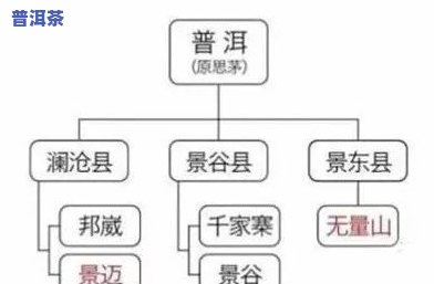 普洱茶常见山头是什么品种的，探秘普洱茶：揭秘常见山头及其所属品种