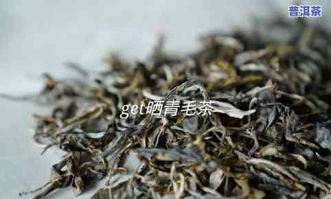 400g普洱茶多少钱，普洱茶价格查询：400g普洱茶需要多少钱？