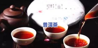 杨记天缘普洱茶陈香缘茶-杨记天缘普洱茶价格