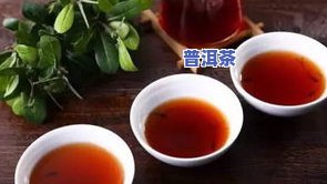 冰岛普洱茶300年树龄多大-冰岛普洱茶300年树龄多大了