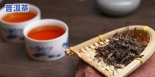 普洱生茶新茶不耐泡-普洱生茶新茶不耐泡怎么办