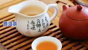 赵晖普洱茶：探寻云南普洱茶的历史与文化价值