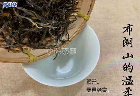 瑞吉普洱茶怎么样好不好-瑞吉普洱茶怎么样好不好喝