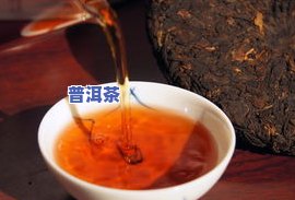 宁波普洱茶哪家好，宁波地区普洱茶哪家品质更佳？推荐优质店铺