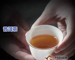 定制普洱茶龙珠价格多少-定制普洱茶龙珠价格多少钱