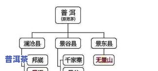 普洱茶放多了会怎样？影响口感、营养及保存方法全解析