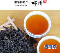 布朗山普洱茶砖：2016年238克精选茶叶