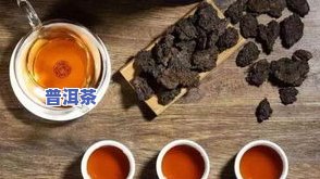 美丽普洱茶乡高清图片大全：一最美茶园风采