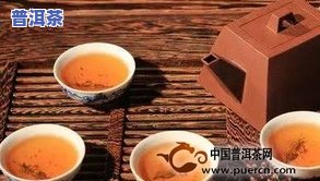 冰岛茶是生茶吗？探讨其分类与特点