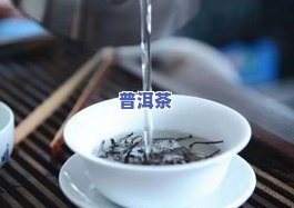 什么茶厂的普洱茶好，寻找优质普洱茶？看这篇，告诉你哪家茶厂的普洱茶更好！