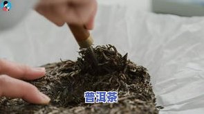 糯香普洱茶好吗-糯香普洱茶好吗怎么喝