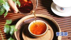 观山水茶叶是什么茶-观山水茶叶是什么茶类