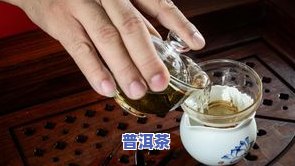 怎样存放新普洱茶散茶叶视频，新手必看！教你正确存放新普洱茶散茶叶的视频教程