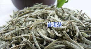 汕头普洱茶总部加盟-汕头普洱茶总部加盟电话