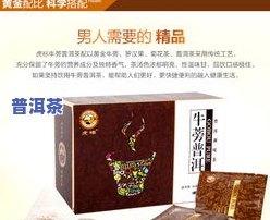 大益普洱茶图片大全：高清展示与价格一览