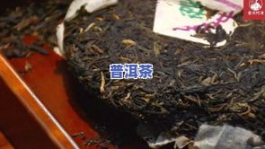 勐海老班章2009，探寻普洱茶珍品：勐海老班章2009年份茶叶的魅力与故事