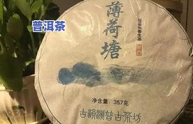 普洱茶种植视频教程，一站式学习：普洱茶种植视频教程