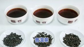 普洱茶6656，品味生活，选好茶！熟悉普洱茶6656的产地、特点和冲泡方法