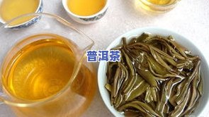 普洱茶挑选要点与技巧：视频与图片全解析