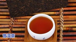 同庆堂普洱茶官网2009年茶饼，探索古韵：同庆堂普洱茶官网2009年茶饼的魅力与价值